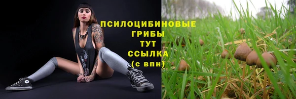 ГАЛЛЮЦИНОГЕННЫЕ ГРИБЫ Нефтегорск