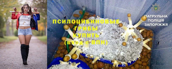 СК Нея